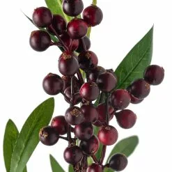 Brand new ⭐ Burgundy Berry Stem by Ashland® 🥰 -Michaels Store 10626525 20