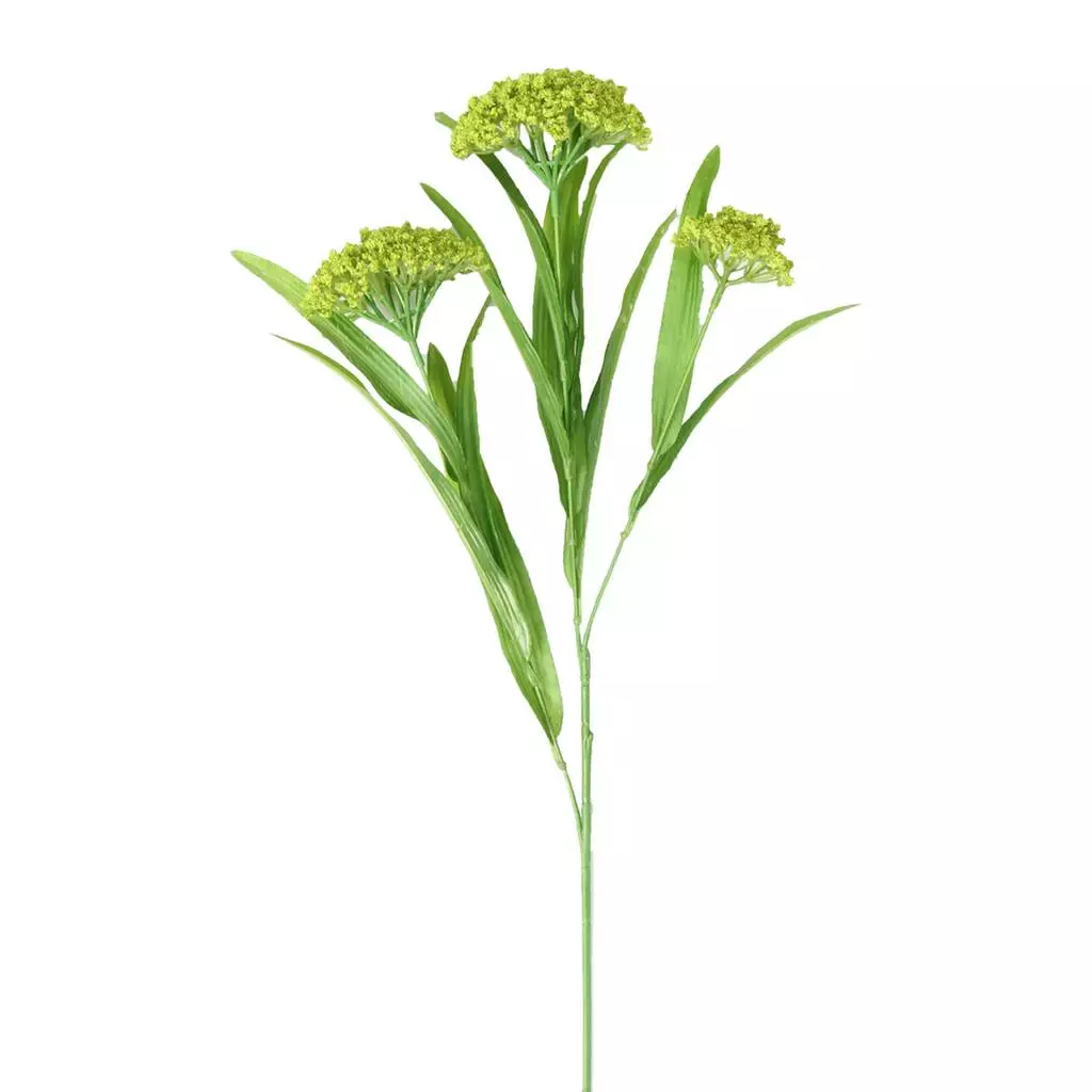 Hot Sale ❤️ 12 Pack: Green Queen Anne's Lace Spray by Ashland® 😉 3 Hot Sale ❤️ 12 Pack: Green Queen Anne's Lace Spray by Ashland® 😉