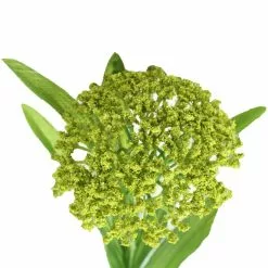 Hot Sale ❤️ 12 Pack: Green Queen Anne's Lace Spray by Ashland® 😉 9 Hot Sale ❤️ 12 Pack: Green Queen Anne's Lace Spray by Ashland® 😉 -Michaels Store 10626560 2