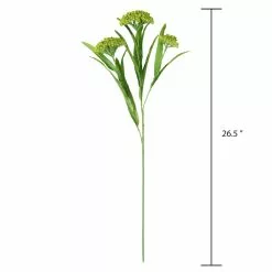 Discount ✔️ Green Queen Anne's Lace Stem by Ashland® ❤️ -Michaels Store 10626560 3