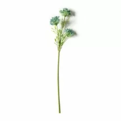 Buy ✔️ Blue Queen Anne's Lace Stem by Ashland® ✨
