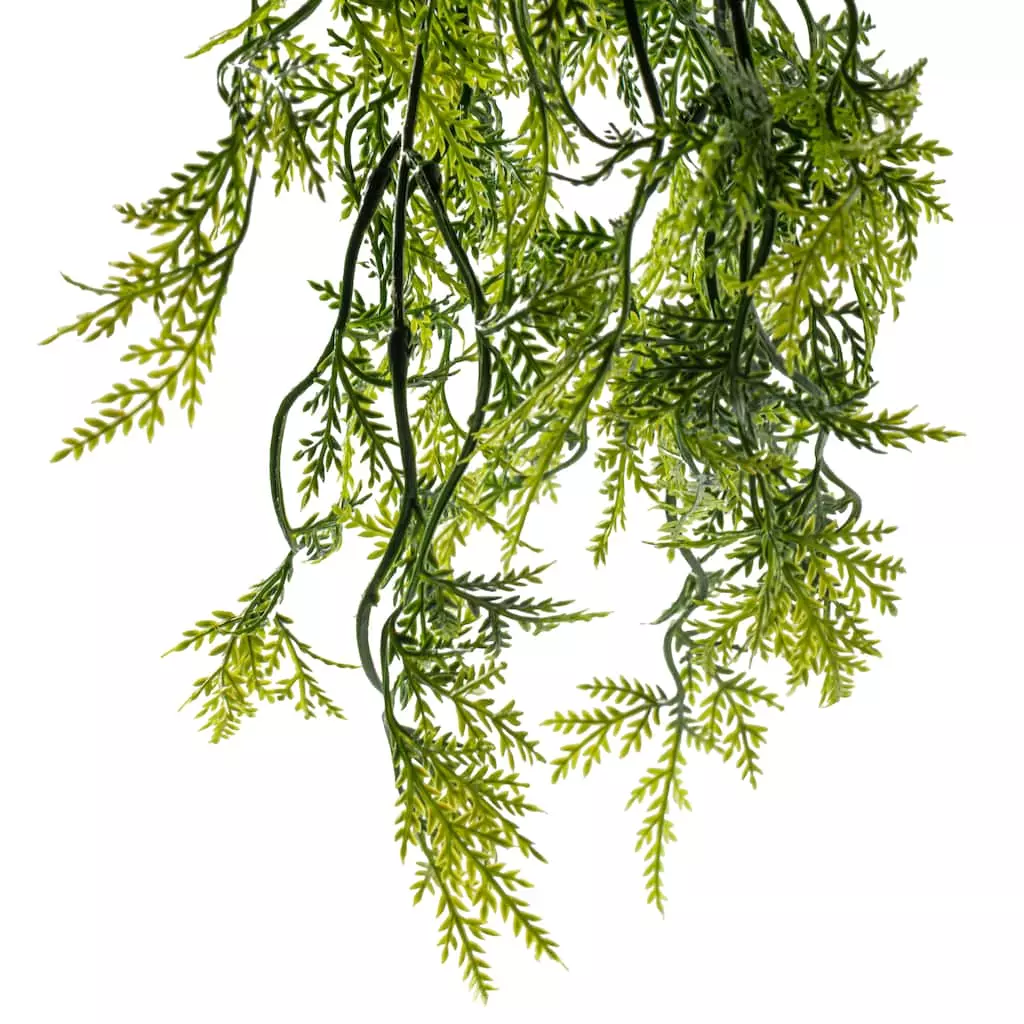 Best reviews of π Green Hanging Fern Bush by Ashland® π 6 Best reviews of π Green Hanging Fern Bush by Ashland® π - Image 4