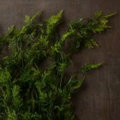 Best reviews of π Green Hanging Fern Bush by Ashland® π 13 Best reviews of π Green Hanging Fern Bush by Ashland® π -Michaels Store 10626844 25