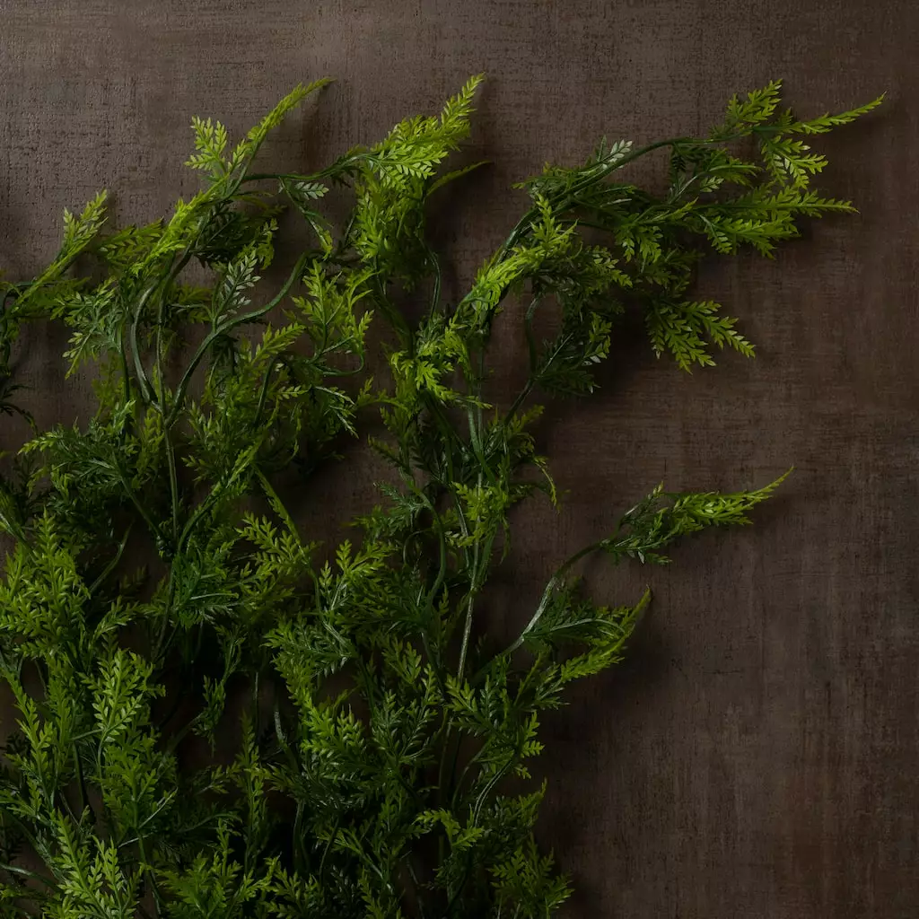 Best reviews of π Green Hanging Fern Bush by Ashland® π 8 Best reviews of π Green Hanging Fern Bush by Ashland® π - Image 6