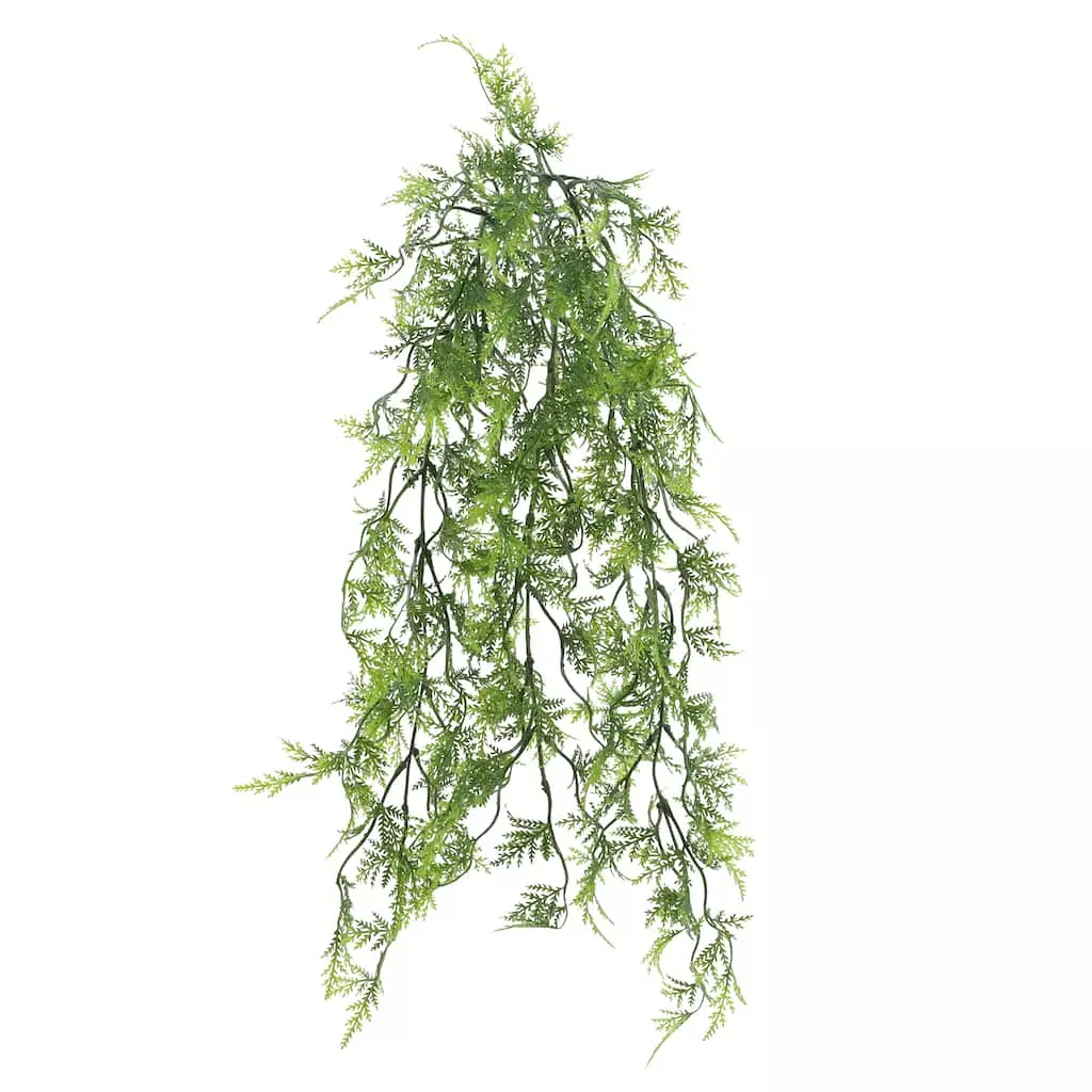 Best reviews of π Green Hanging Fern Bush by Ashland® π 5 Best reviews of π Green Hanging Fern Bush by Ashland® π - Image 3