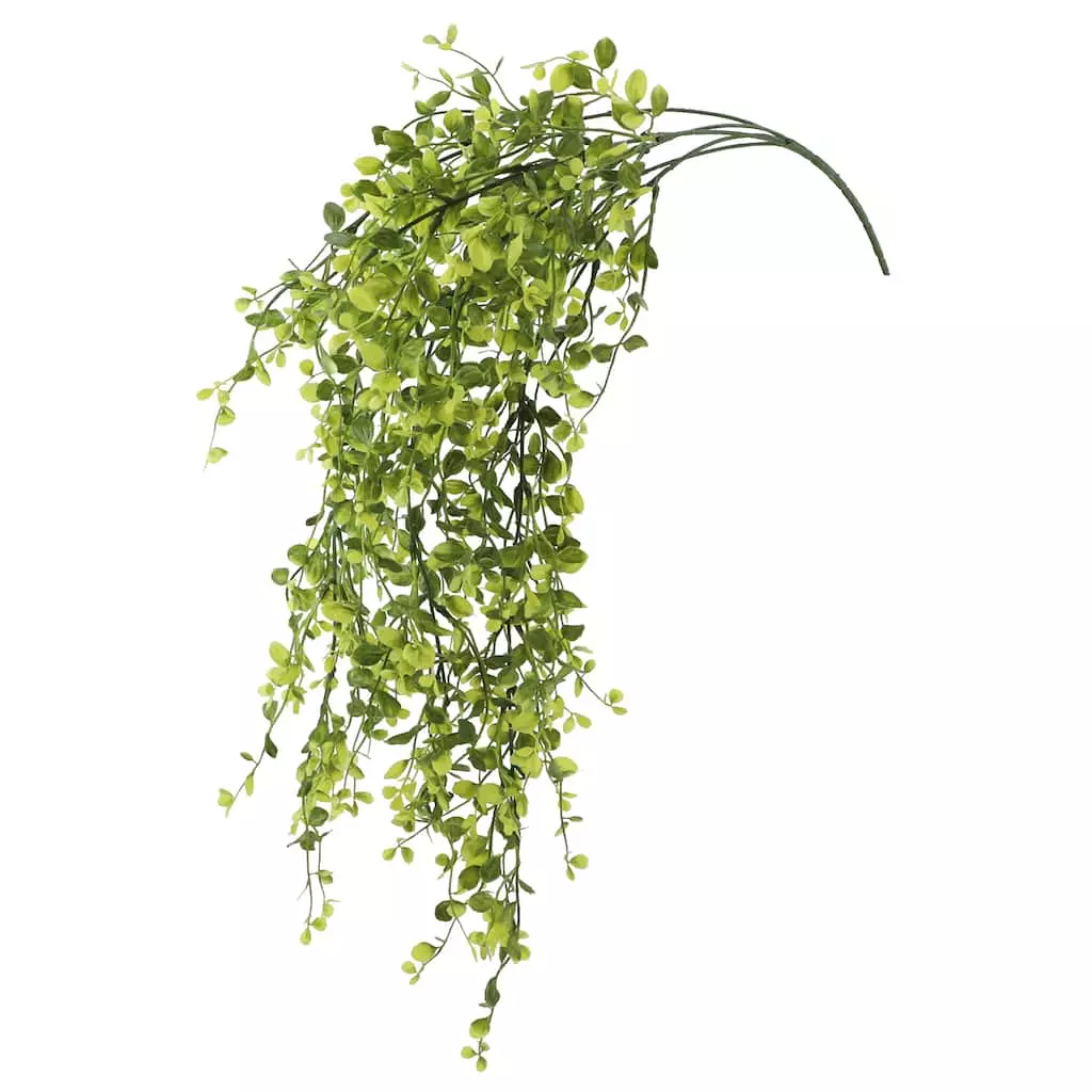 Flash Sale 🎁 6 Pack: Green Hanging Smilax Bush by Ashland® ✨ 3 Flash Sale 🎁 6 Pack: Green Hanging Smilax Bush by Ashland® ✨