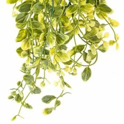 Best Pirce ❤️ Green Hanging Smilax Bush by Ashland® ❤️ -Michaels Store 10626846 20