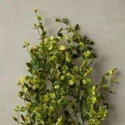 Flash Sale 🎁 6 Pack: Green Hanging Smilax Bush by Ashland® ✨ 12 Flash Sale 🎁 6 Pack: Green Hanging Smilax Bush by Ashland® ✨ -Michaels Store 10626846 25 1