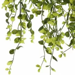 Flash Sale 🎁 6 Pack: Green Hanging Smilax Bush by Ashland® ✨ 9 Flash Sale 🎁 6 Pack: Green Hanging Smilax Bush by Ashland® ✨ -Michaels Store 10626846 3 1
