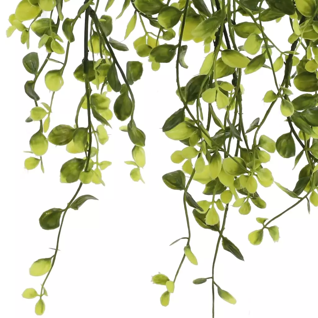 Flash Sale 🎁 6 Pack: Green Hanging Smilax Bush by Ashland® ✨ 4 Flash Sale 🎁 6 Pack: Green Hanging Smilax Bush by Ashland® ✨ - Image 2