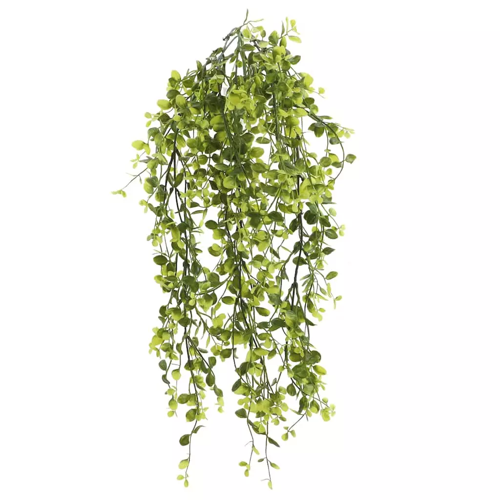 Flash Sale 🎁 6 Pack: Green Hanging Smilax Bush by Ashland® ✨ 5 Flash Sale 🎁 6 Pack: Green Hanging Smilax Bush by Ashland® ✨ - Image 3