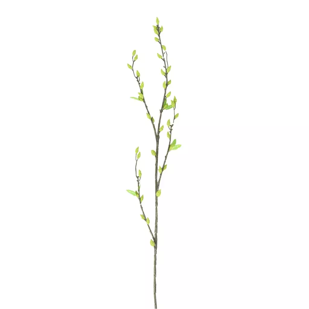 Best Sale 🎁 12 Pack: Green Willow Stem by Ashland® 🌟 3 Best Sale 🎁 12 Pack: Green Willow Stem by Ashland® 🌟