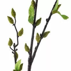 Top 10 ❤️ Green Willow Stem by Ashland® ⭐ -Michaels Store 10626847 20