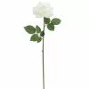 Deals 😀 6 Pack: White Rose Stem by Ashland® 🥰 -Michaels Store 10626862 1