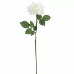 Deals 😀 6 Pack: White Rose Stem by Ashland® 🥰