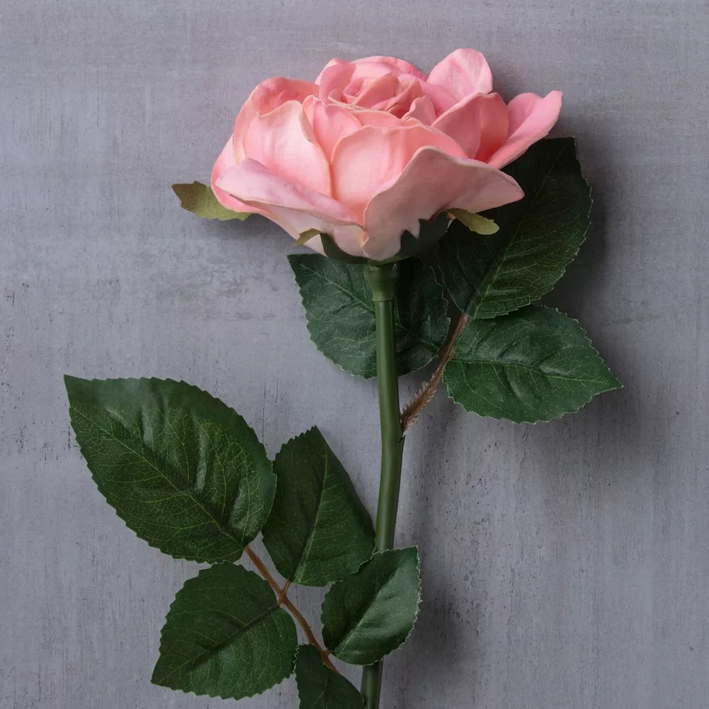 Cheap ✔️ Blush Rose Stem by Ashland® 😀 4 Cheap ✔️ Blush Rose Stem by Ashland® 😀 - Image 2