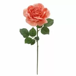 Top 10 💯 6 Pack: Coral Rose Stem by Ashland® ⌛ -Michaels Store 10626866 4