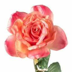 Cheapest 🛒 Pink Rose Stem by Ashland® ⌛ -Michaels Store 10626868 20