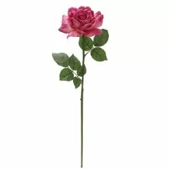 Best Sale ⌛ 6 Pack: Fuchsia Rose Stem by Ashland® ⌛