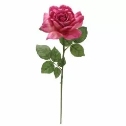 Best Sale ⌛ 6 Pack: Fuchsia Rose Stem by Ashland® ⌛ -Michaels Store 10626870 4