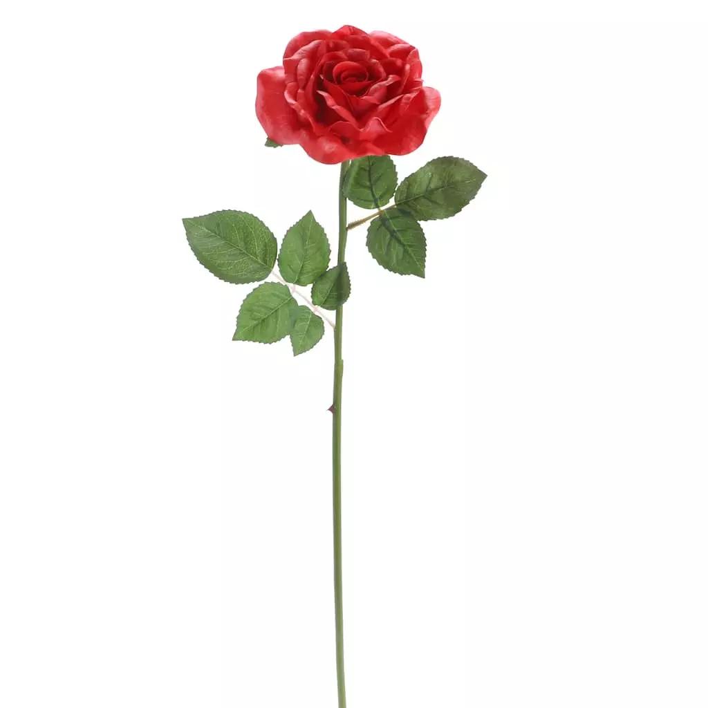 Outlet 🧨 6 Pack: Red Rose Stem by Ashland® ✨ 3 Outlet 🧨 6 Pack: Red Rose Stem by Ashland® ✨