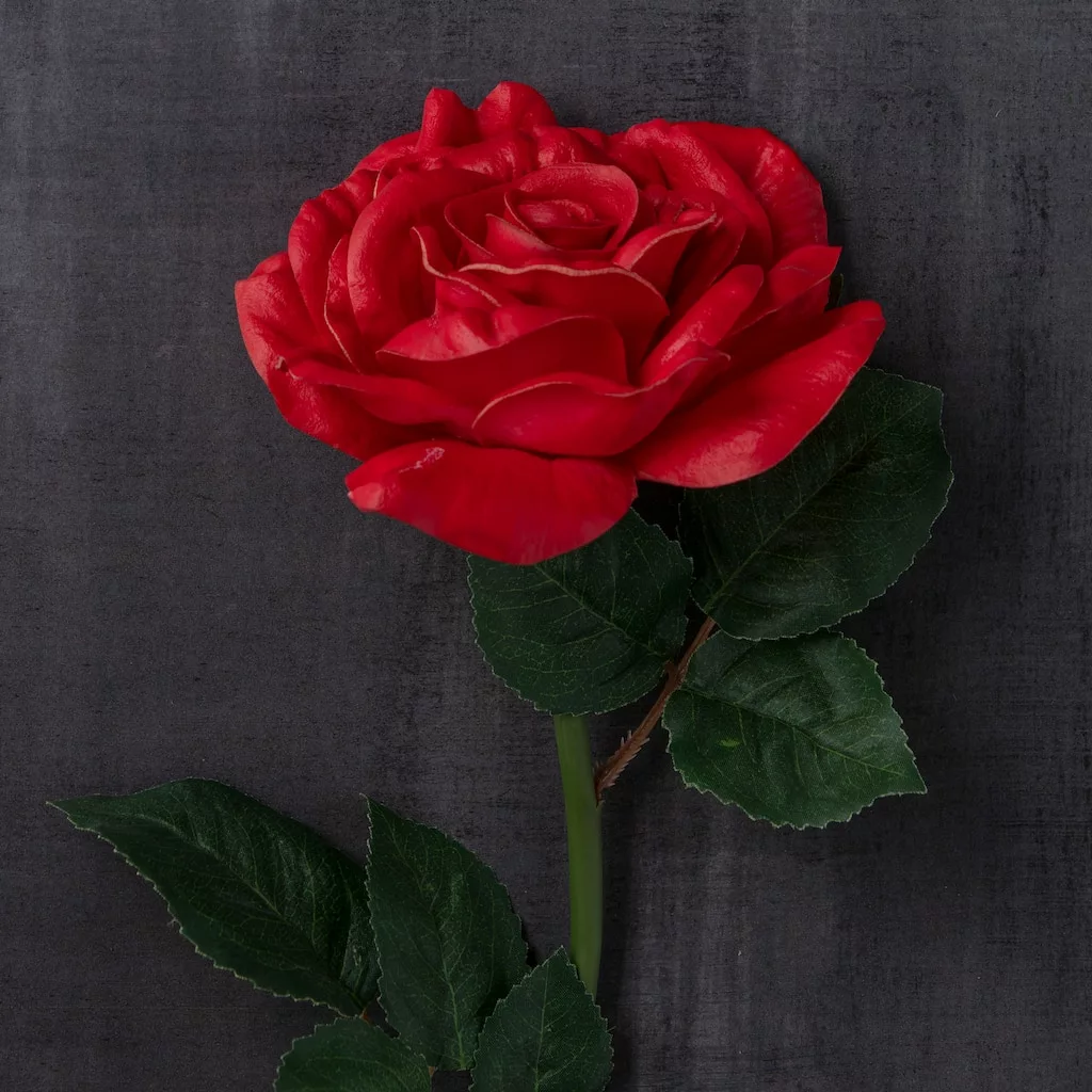 Top 10 ❤️ Red Rose Stem by Ashland® ✨ 4 Top 10 ❤️ Red Rose Stem by Ashland® ✨ - Image 2