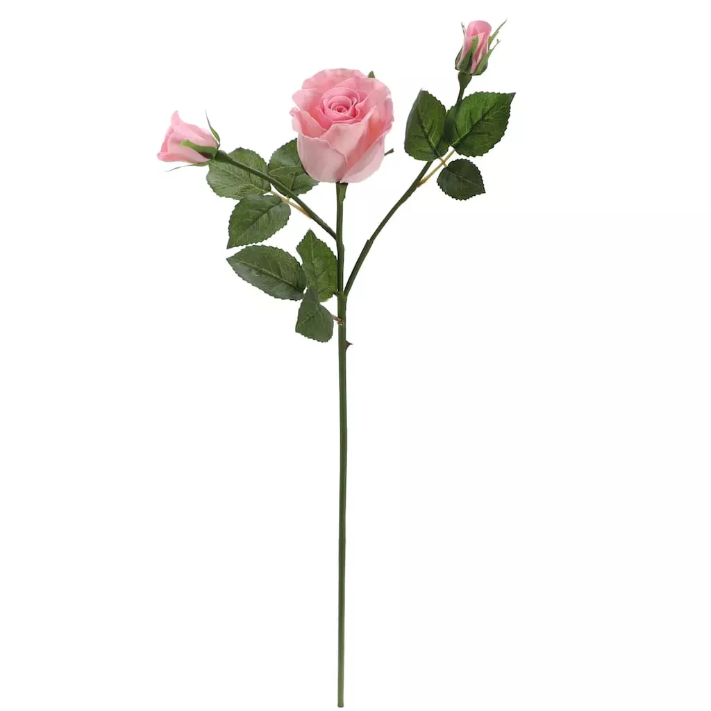 Best reviews of ⌛ 6 Pack: Blush Rose Spray by Ashland® 🛒 3 Best reviews of ⌛ 6 Pack: Blush Rose Spray by Ashland® 🛒