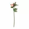 New ✔️ Blush Rose Stem by Ashland® ⭐ 1 New ✔️ Blush Rose Stem by Ashland® ⭐ -Michaels Store 10626876 21