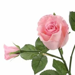 Best reviews of ⌛ 6 Pack: Blush Rose Spray by Ashland® 🛒 9 Best reviews of ⌛ 6 Pack: Blush Rose Spray by Ashland® 🛒 -Michaels Store 10626876 3