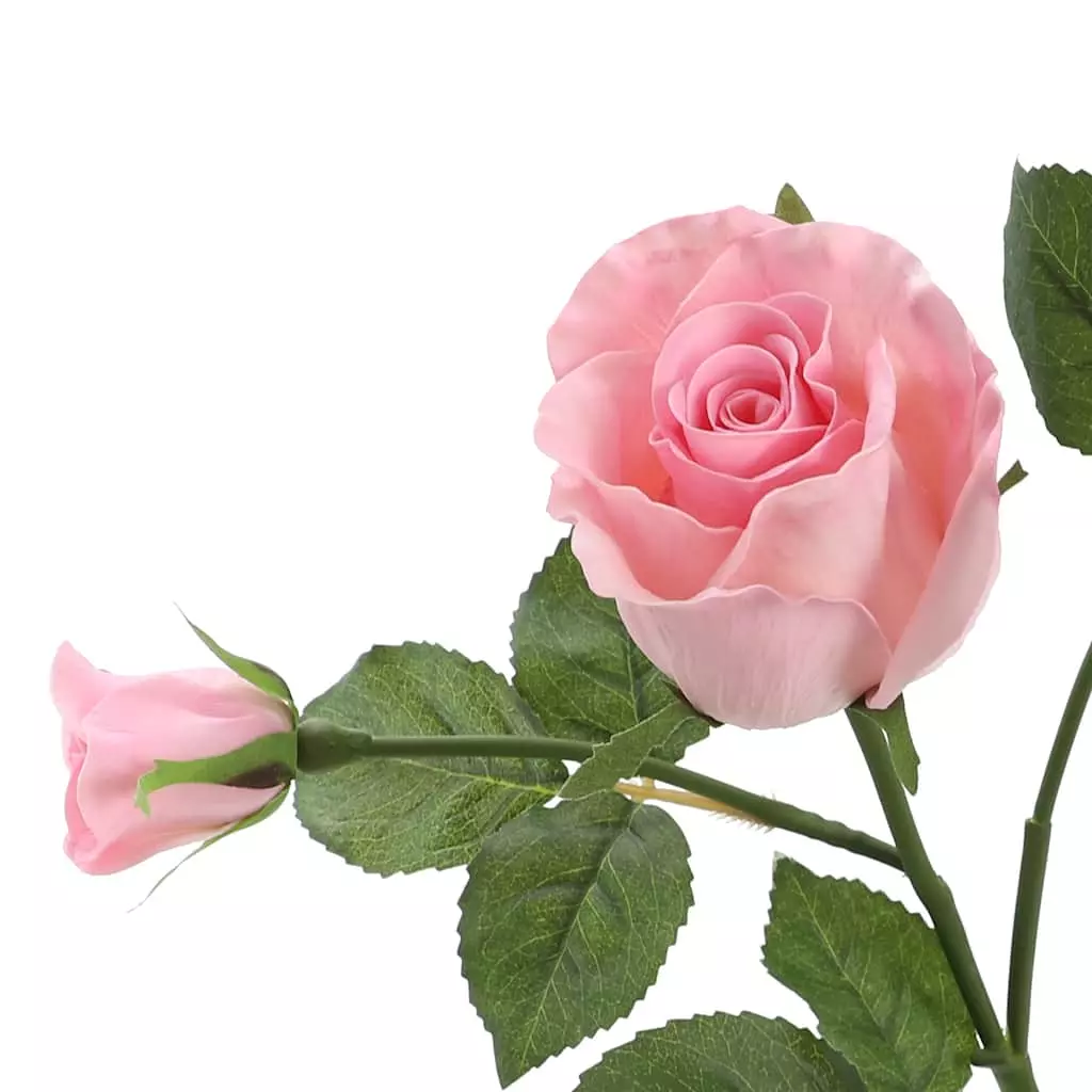 Best reviews of ⌛ 6 Pack: Blush Rose Spray by Ashland® 🛒 4 Best reviews of ⌛ 6 Pack: Blush Rose Spray by Ashland® 🛒 - Image 2