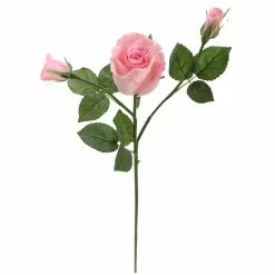 Best reviews of ⌛ 6 Pack: Blush Rose Spray by Ashland® 🛒 10 Best reviews of ⌛ 6 Pack: Blush Rose Spray by Ashland® 🛒 -Michaels Store 10626876 4