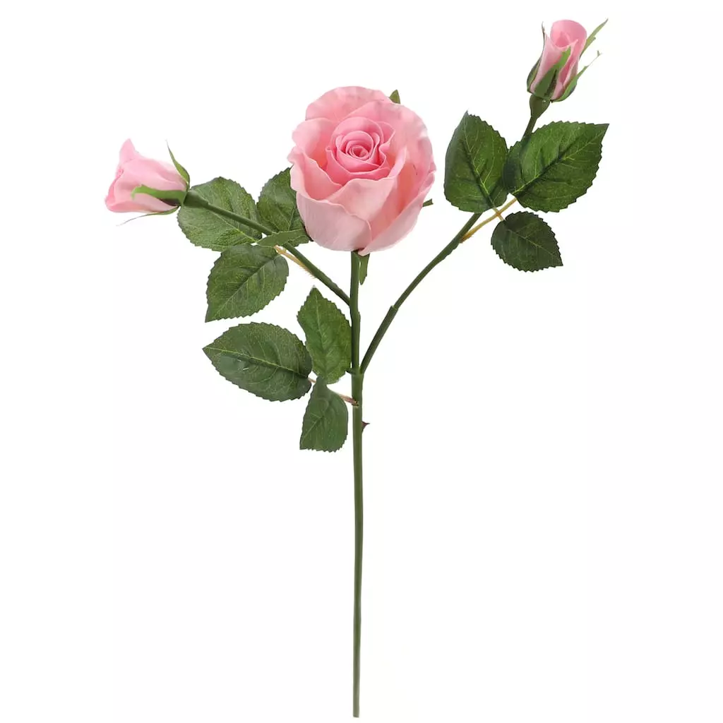 Best reviews of ⌛ 6 Pack: Blush Rose Spray by Ashland® 🛒 5 Best reviews of ⌛ 6 Pack: Blush Rose Spray by Ashland® 🛒 - Image 3