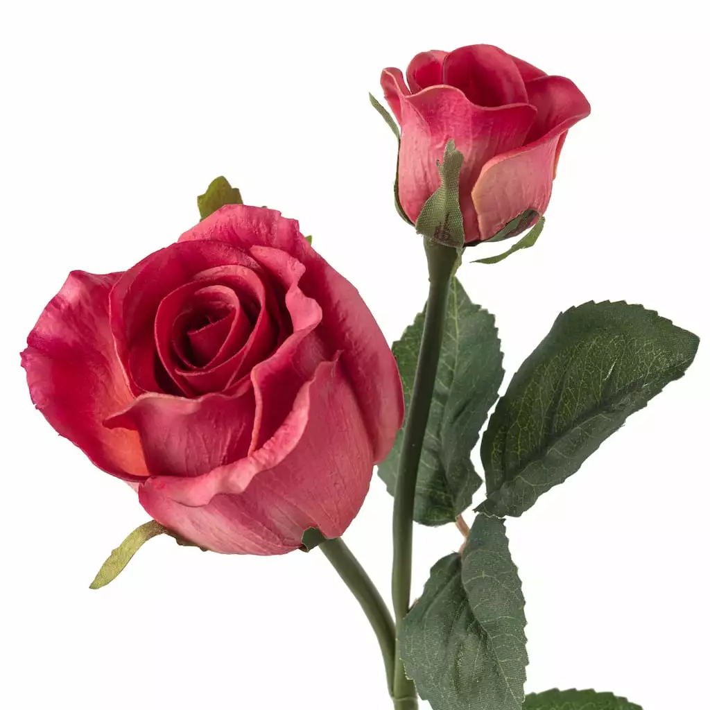 Coupon 🔔 Fuchsia Rose Stem by Ashland® ✔️ 5 Coupon 🔔 Fuchsia Rose Stem by Ashland® ✔️ - Image 3