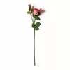 Coupon 🔔 Fuchsia Rose Stem by Ashland® ✔️ -Michaels Store 10626878 21