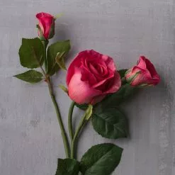 Coupon 🔔 Fuchsia Rose Stem by Ashland® ✔️ 6 Coupon 🔔 Fuchsia Rose Stem by Ashland® ✔️ -Michaels Store 10626878 22