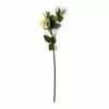 Buy 👍 White Rose Stem by Ashland® ⭐ 1 Buy 👍 White Rose Stem by Ashland® ⭐ -Michaels Store 10626882 21
