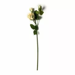 Buy 👍 White Rose Stem by Ashland® ⭐