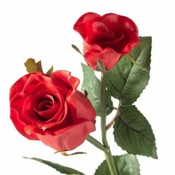 Best reviews of 🌟 Red Rose Stem by Ashland® ✨ -Michaels Store 10626884 20