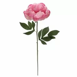 Best Sale ⭐ 6 Pack: Pink Peony Stem by Ashland® ❤️ 10 Best Sale ⭐ 6 Pack: Pink Peony Stem by Ashland® ❤️ -Michaels Store 10626888 4