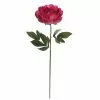 New 🤩 Fuchsia Peony Stem by Ashland® ⭐ 2 New 🤩 Fuchsia Peony Stem by Ashland® ⭐ -Michaels Store 10626892 1