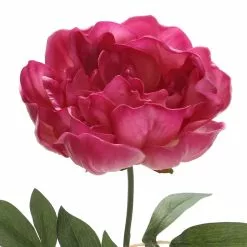 New 🤩 Fuchsia Peony Stem by Ashland® ⭐ -Michaels Store 10626892 3