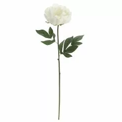 Promo ❤️ White Peony Stem by Ashland® 😉