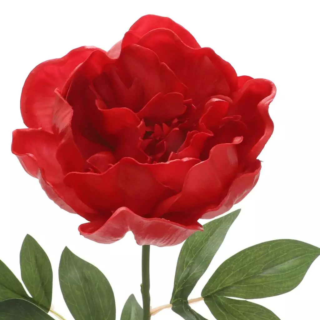 Top 10 ✨ 6 Pack: Red Peony Stem by Ashland® 🌟 4 Top 10 ✨ 6 Pack: Red Peony Stem by Ashland® 🌟 - Image 2
