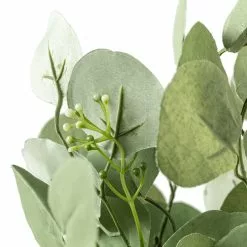 Best deal ⌛ Eucalyptus Bush by Ashland® 🔔 -Michaels Store 10626920 20