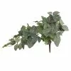 Promo ❤️ 6 Pack: Green Hanging Fittonia Bush by Ashland® ✨ -Michaels Store 10626924 1 1