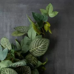 Promo ❤️ 6 Pack: Green Hanging Fittonia Bush by Ashland® ✨ -Michaels Store 10626924 25 1