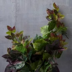 New 🛒 Green & Purple Hanging Cottonwood Bush by Ashland® 🎉