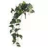 Discount ✔️ Hanging Pothos Bush by Ashland® 🔥 -Michaels Store 10626927 1