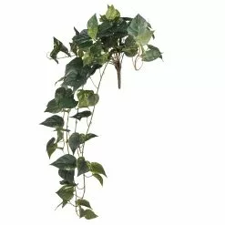 Discount ✔️ Hanging Pothos Bush by Ashland® 🔥