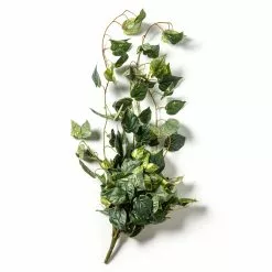 Discount ✔️ Hanging Pothos Bush by Ashland® 🔥 -Michaels Store 10626927 21
